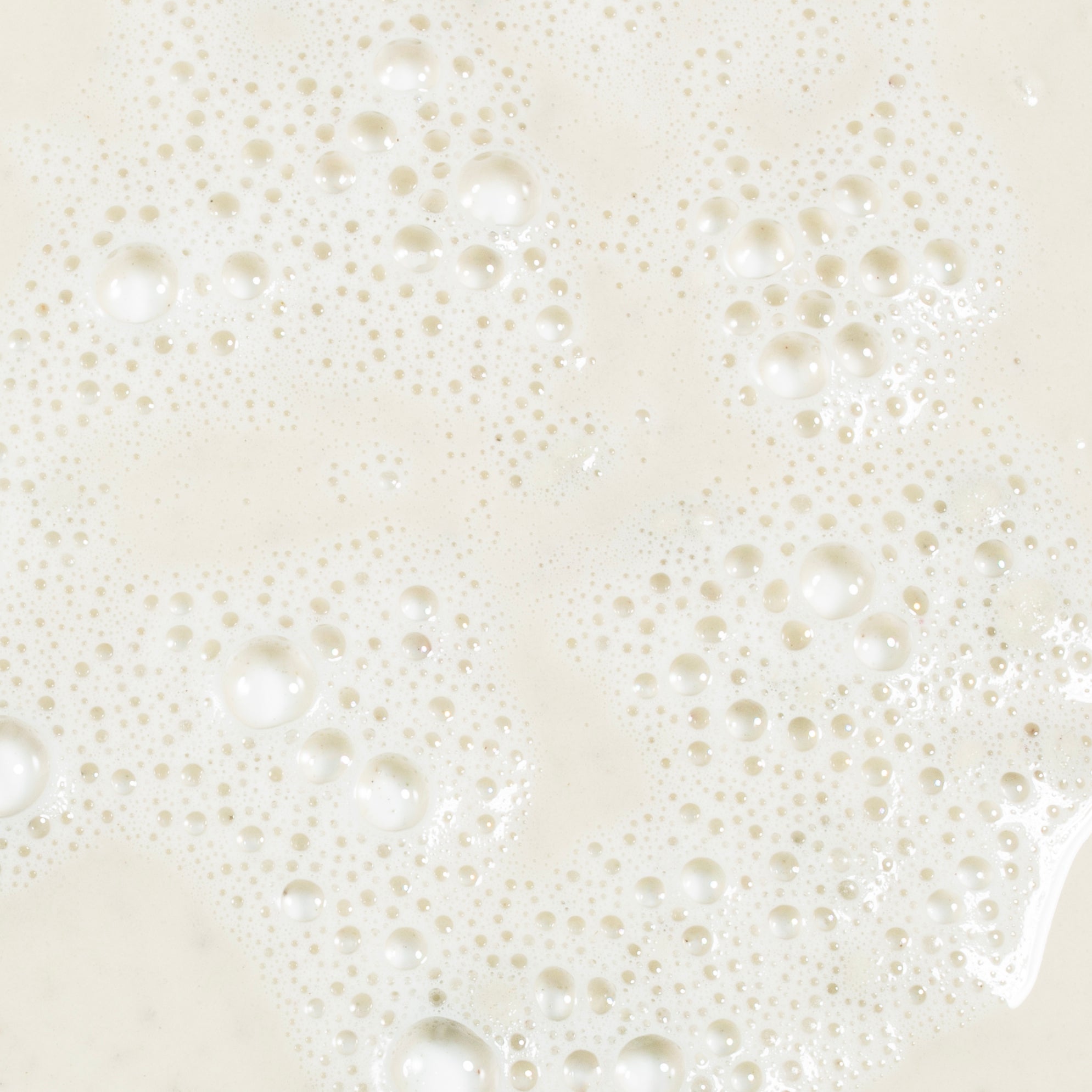 Matcha & French Green Clay Shampoo Powder 70g (fragrance-free)